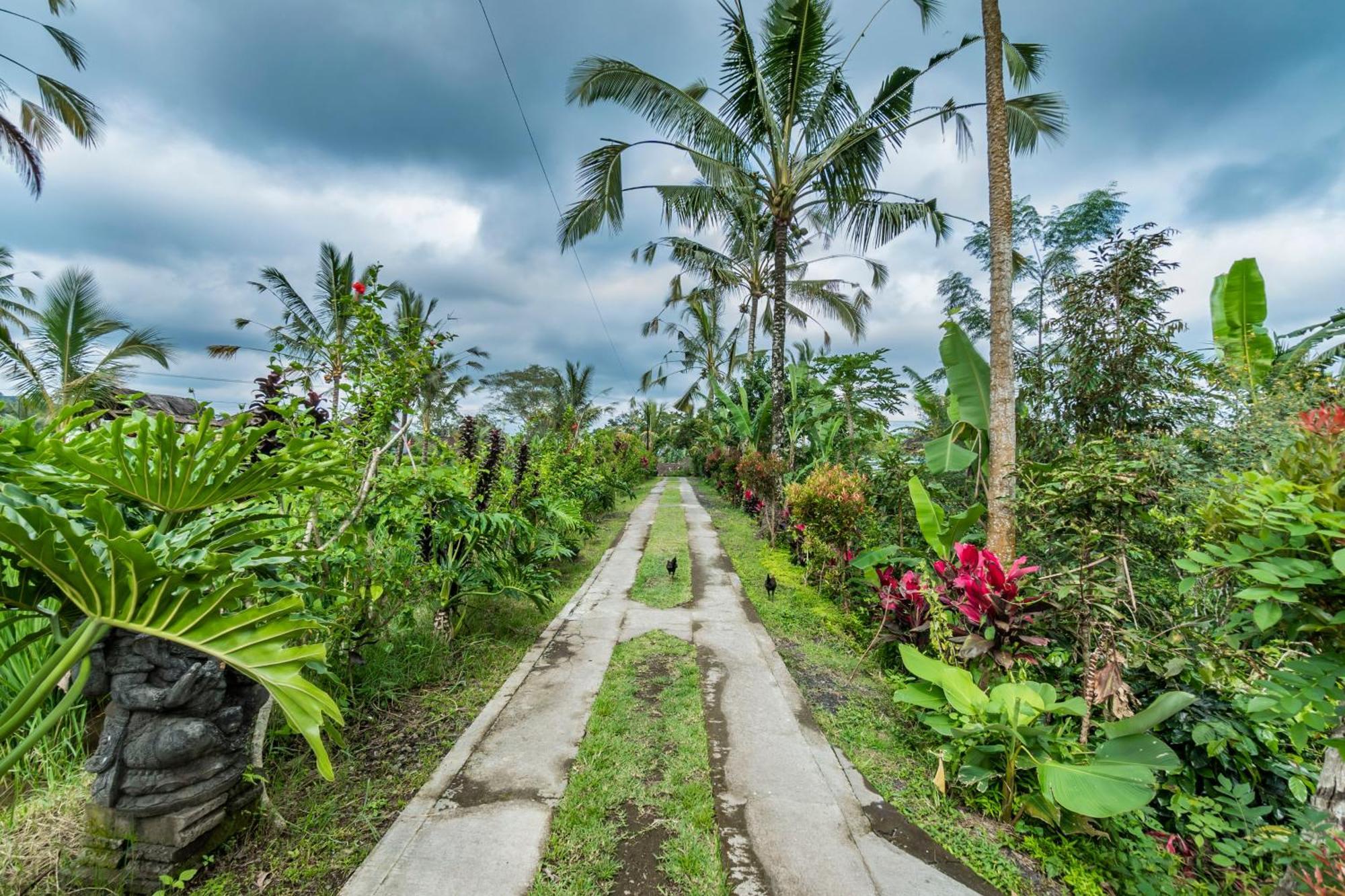 Ritual Ubud Payangan Екстериор снимка